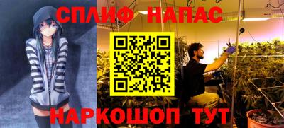 наркотики Беслан