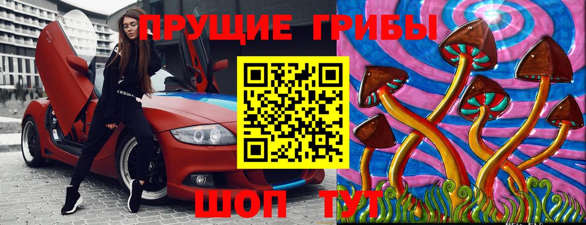 Галлюциногенные грибы MAGIC MUSHROOMS  Вход с VPN  Вятские Поляны 
