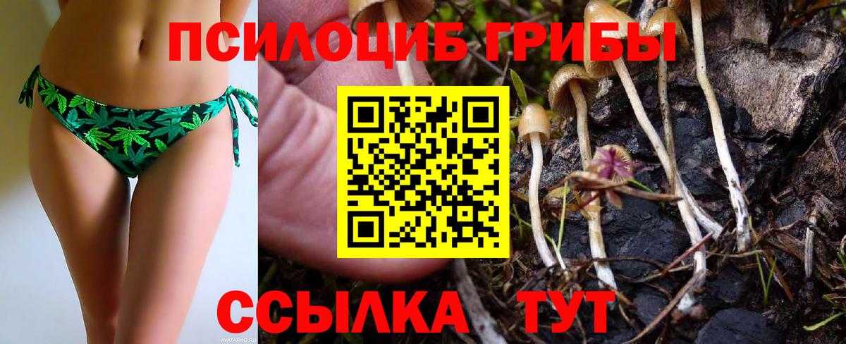 Псилоцибиновые грибы GOLDEN TEACHER Вятские Поляны
